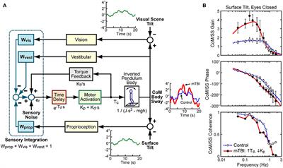 Central sensorimotor integration assessment reveals deficits in standing balance control in people with chronic mild traumatic brain injury